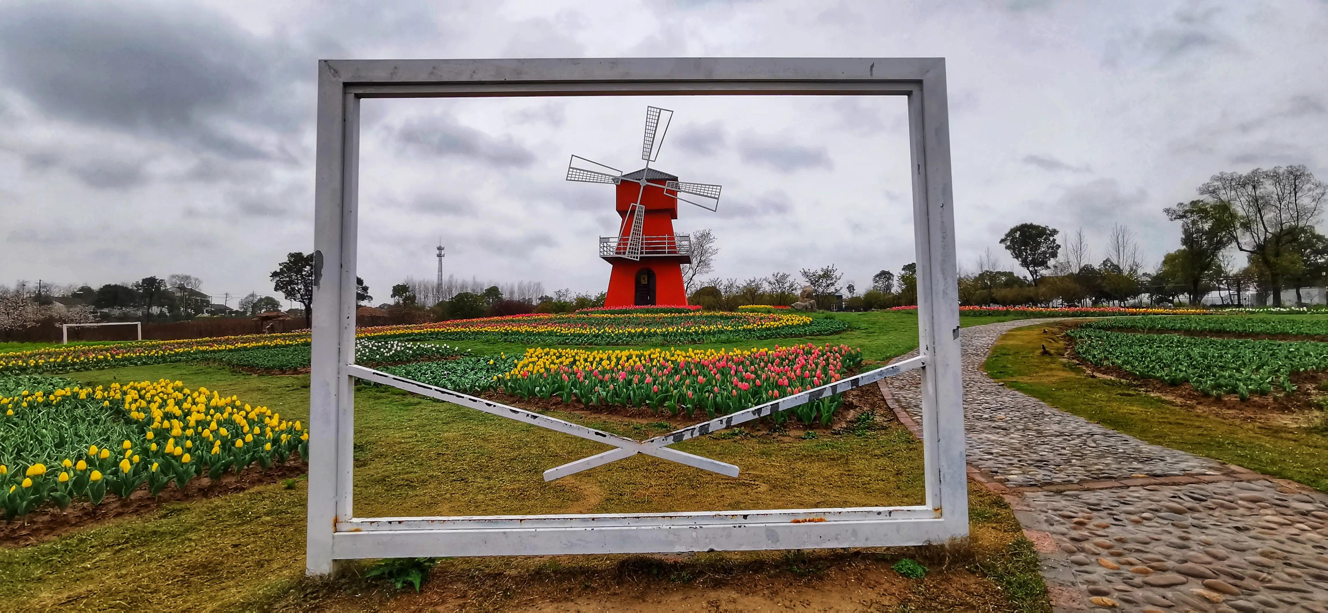 湖北宜昌花海赏花,枝江同心花海四月有什么花