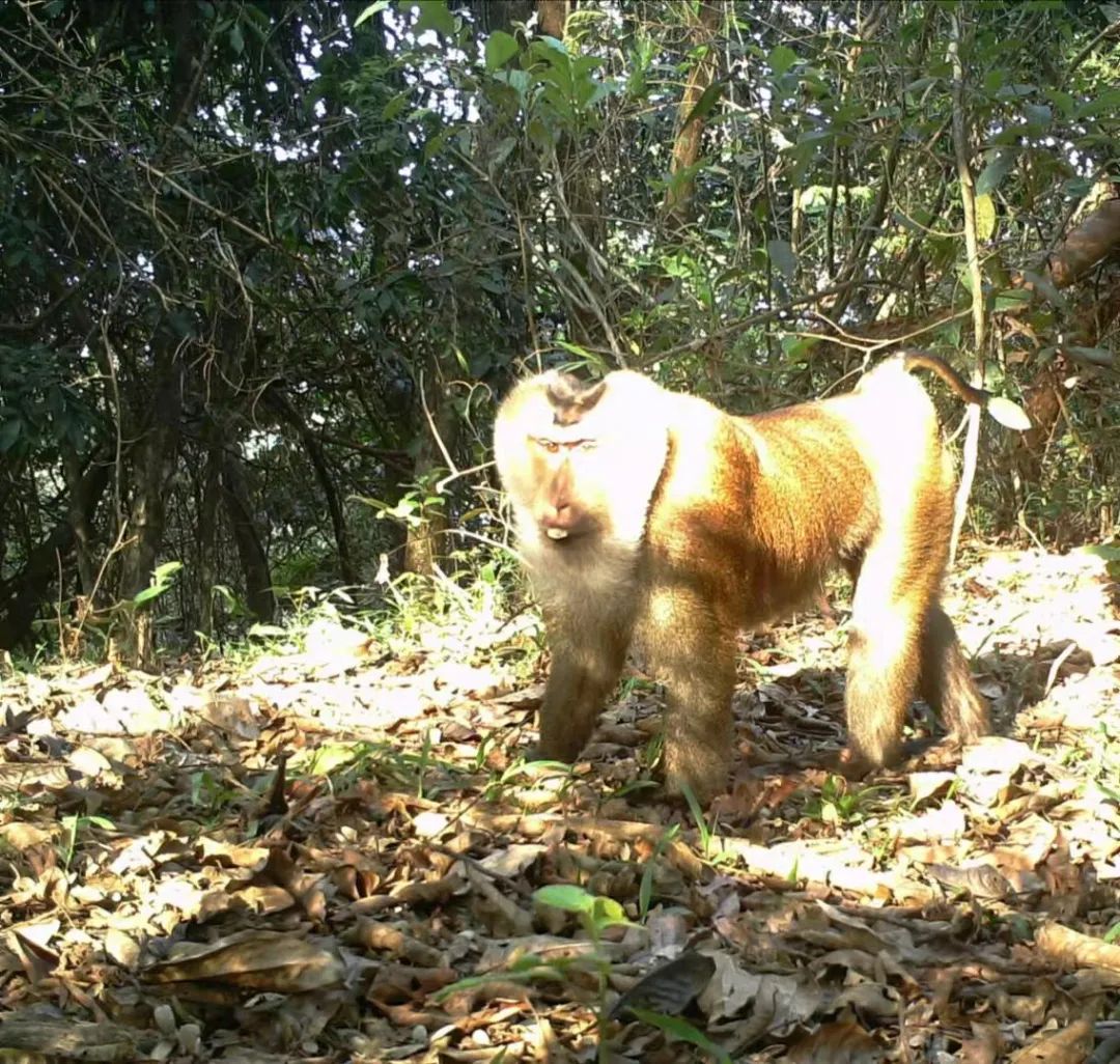 昆明七彩云南怎么样,七彩云南避暑家园