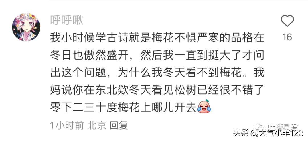 “你的IP地址暴露后发生了什么？”呵呵呵评论区我要笑了