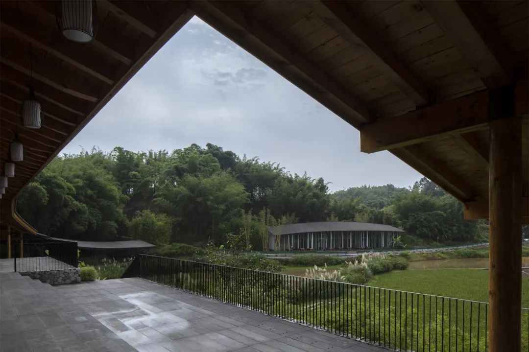 乡村振兴谋划不全不细典型案例,国内外乡村振兴典型代表及案例