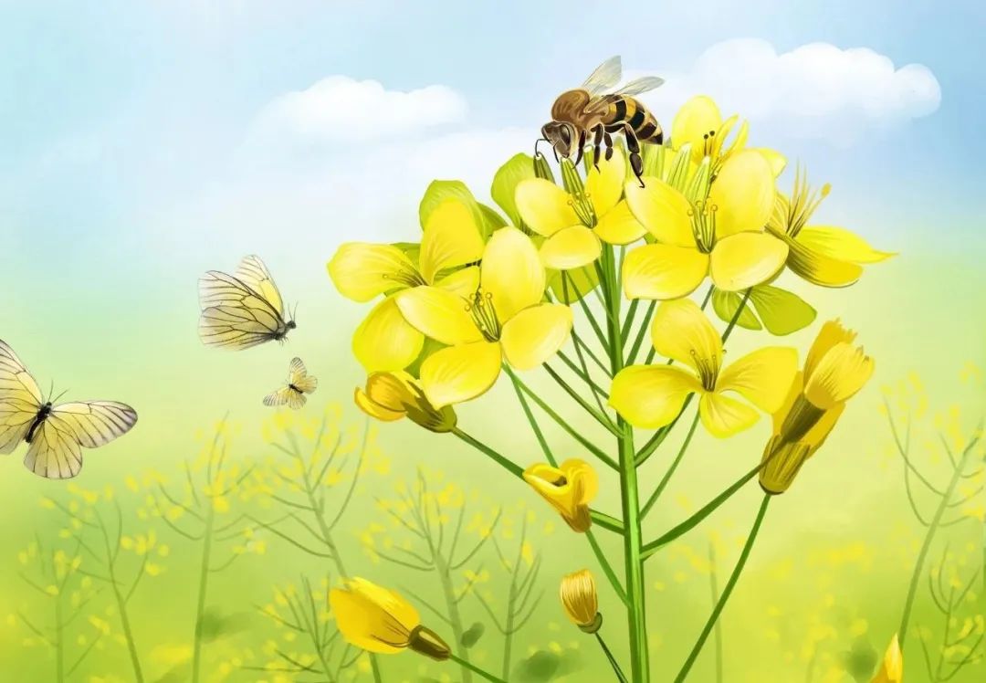 春暖花开时预防过敏方法,春暖花开季节性过敏