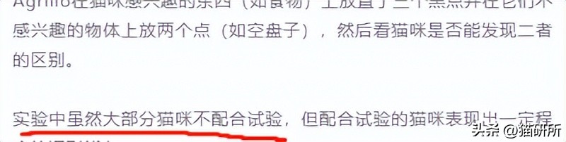 怎样测试猫咪的智商低还是高,如何测试猫咪的智商高不高