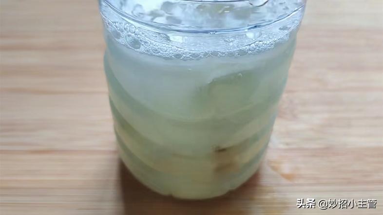 大蒜治疗蟑螂最好的方法,用大蒜怎样消除蟑螂和蜘蛛