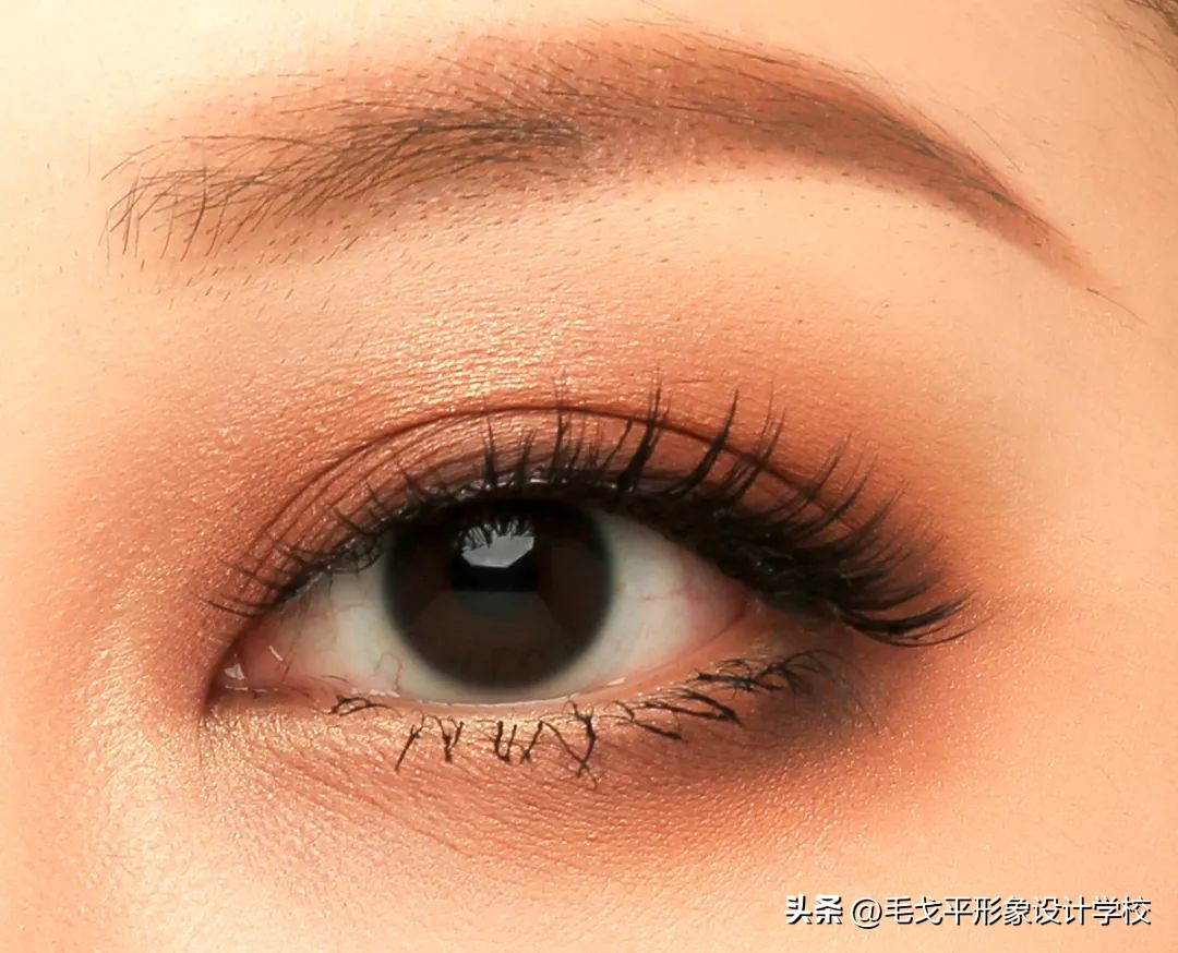 超详细新手化妆刷指南,新手必看化妆刷大合集及使用方法