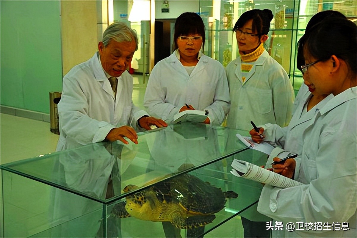 衡水卫生学校2022春节招生吗,衡水卫生学校2023年招生计划