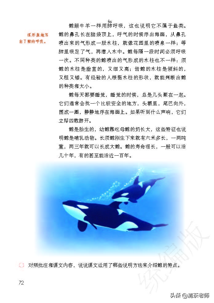 2022最新版五年级语文上册电子课本，老师家长都需要