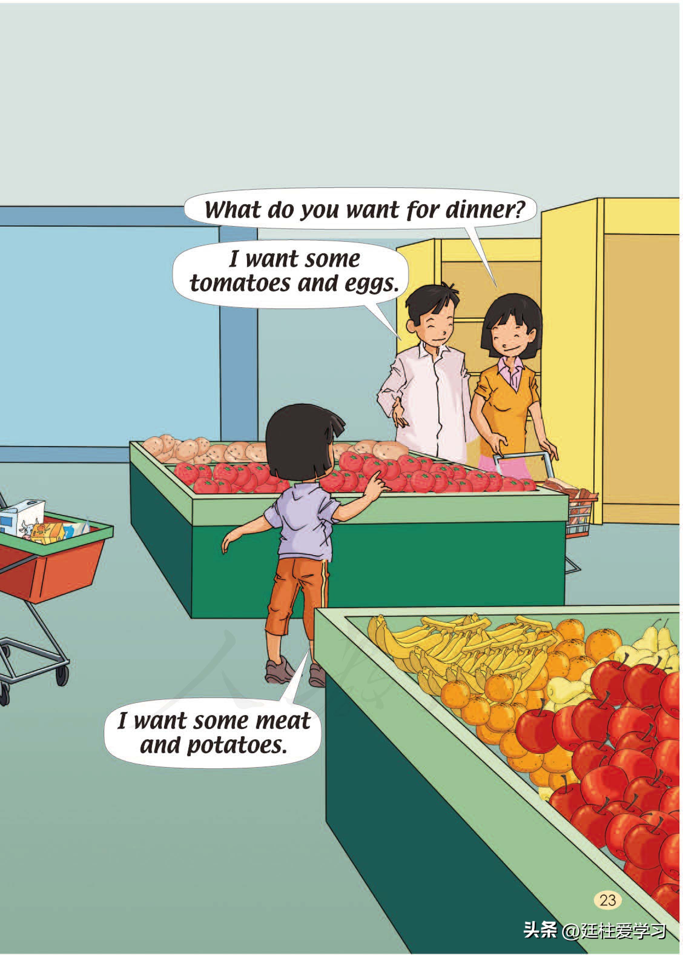 小学英语外研版三年级上册,小学英语精通版三年级上册