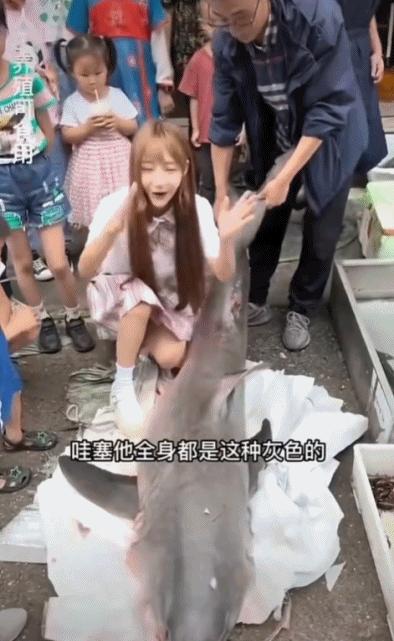 网红女主播吃大白鲨调查后续,网红被爆料吃大白鲨