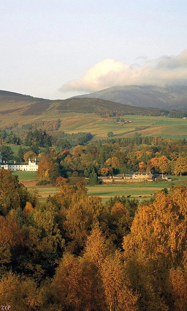 太美了100张人间美照,太美了最美中国红