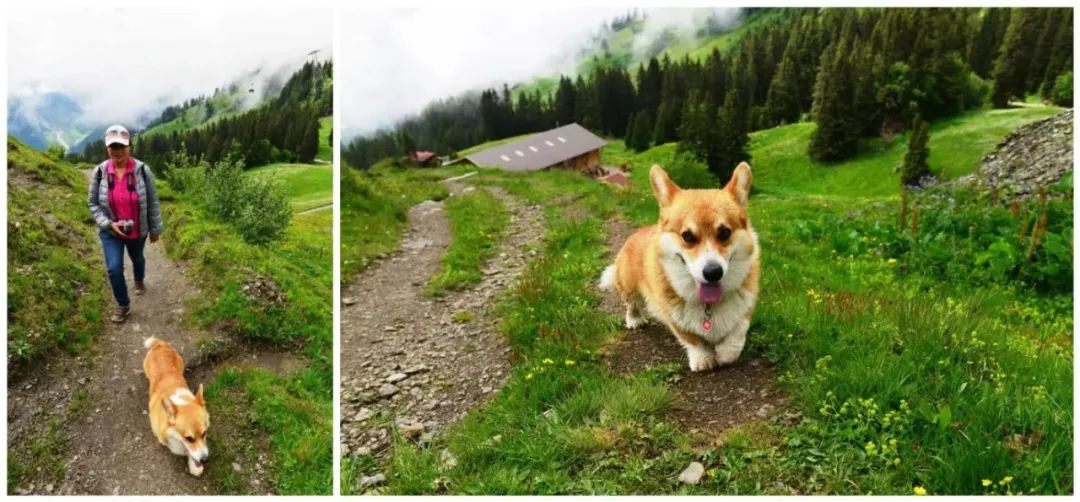 瑞士意大利德国奥地利自驾路线,意大利瑞士奥地利德国自驾游