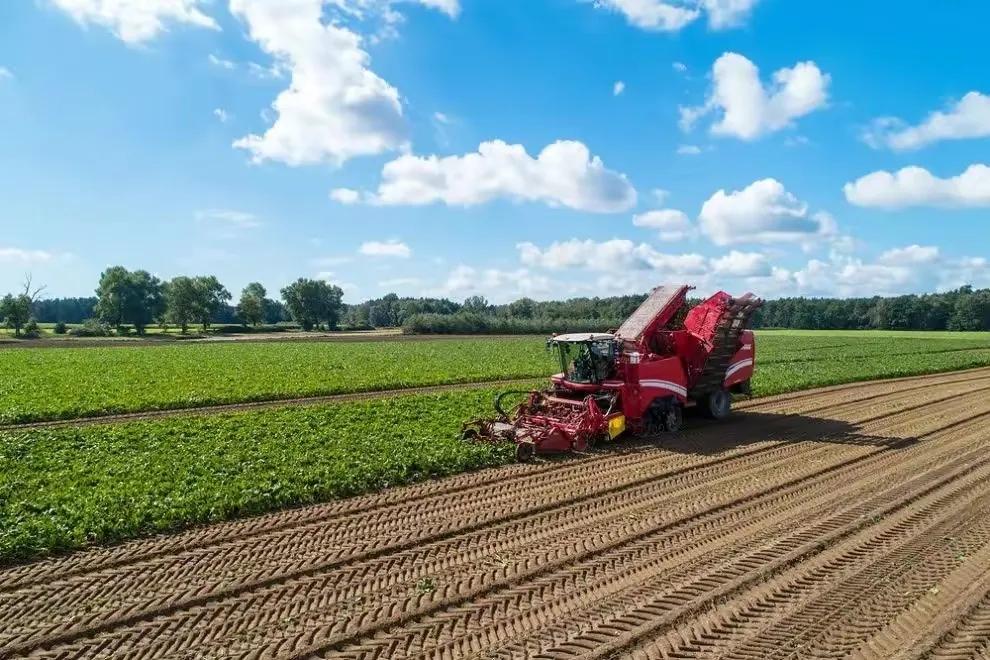 带你一分钟了解波兰,波兰的真实深度解析
