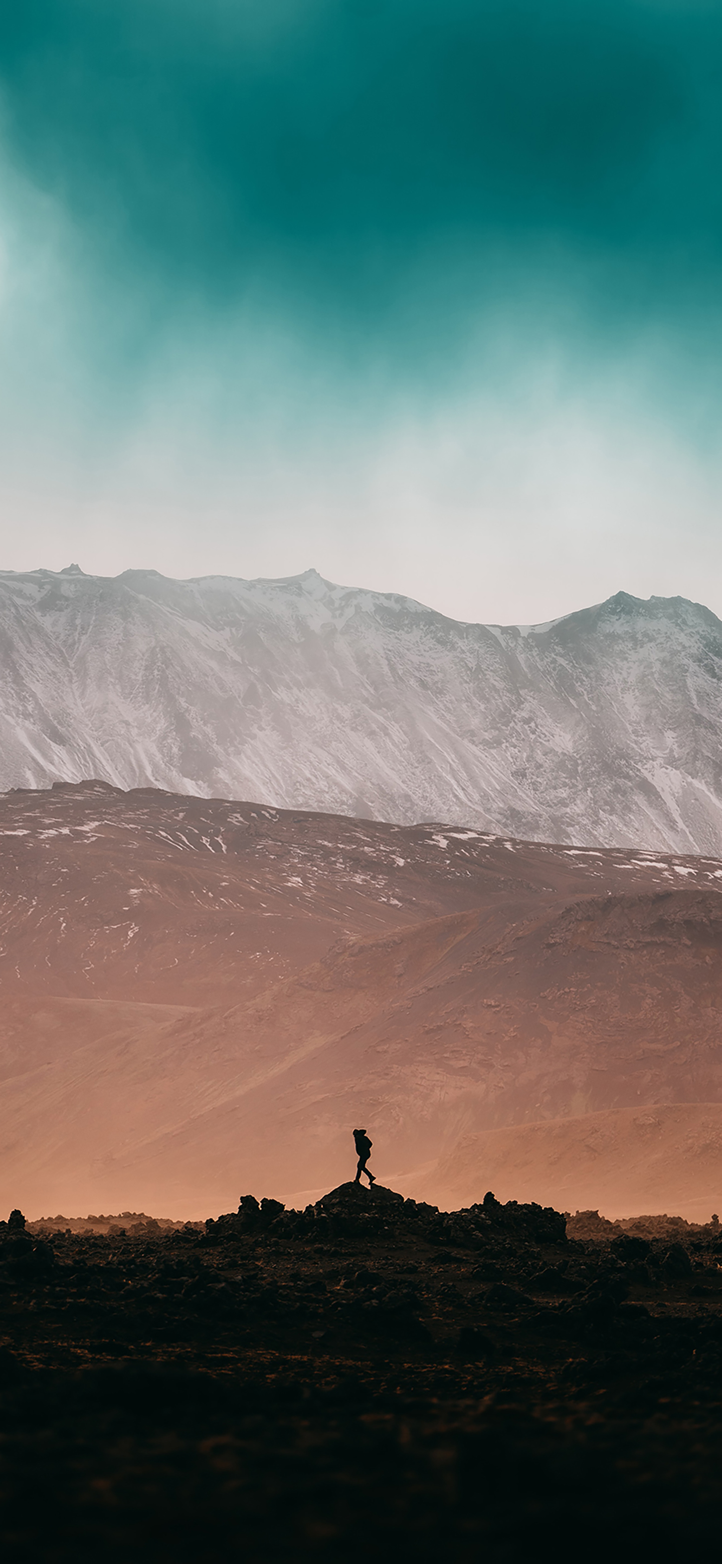 风景壁纸春,春天有百花秋有凉风冬有雪壁纸