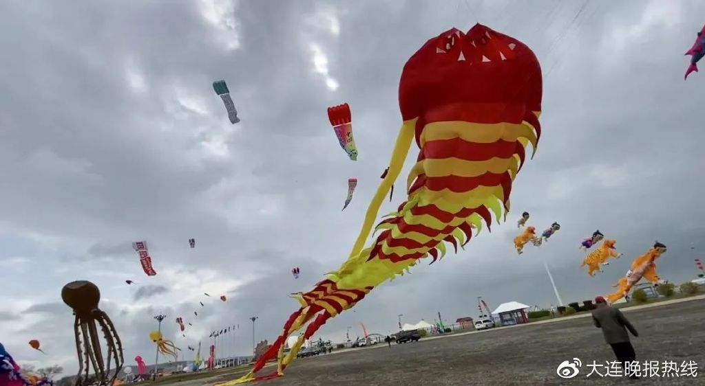 章鱼老板烧章鱼,章鱼老板第二季