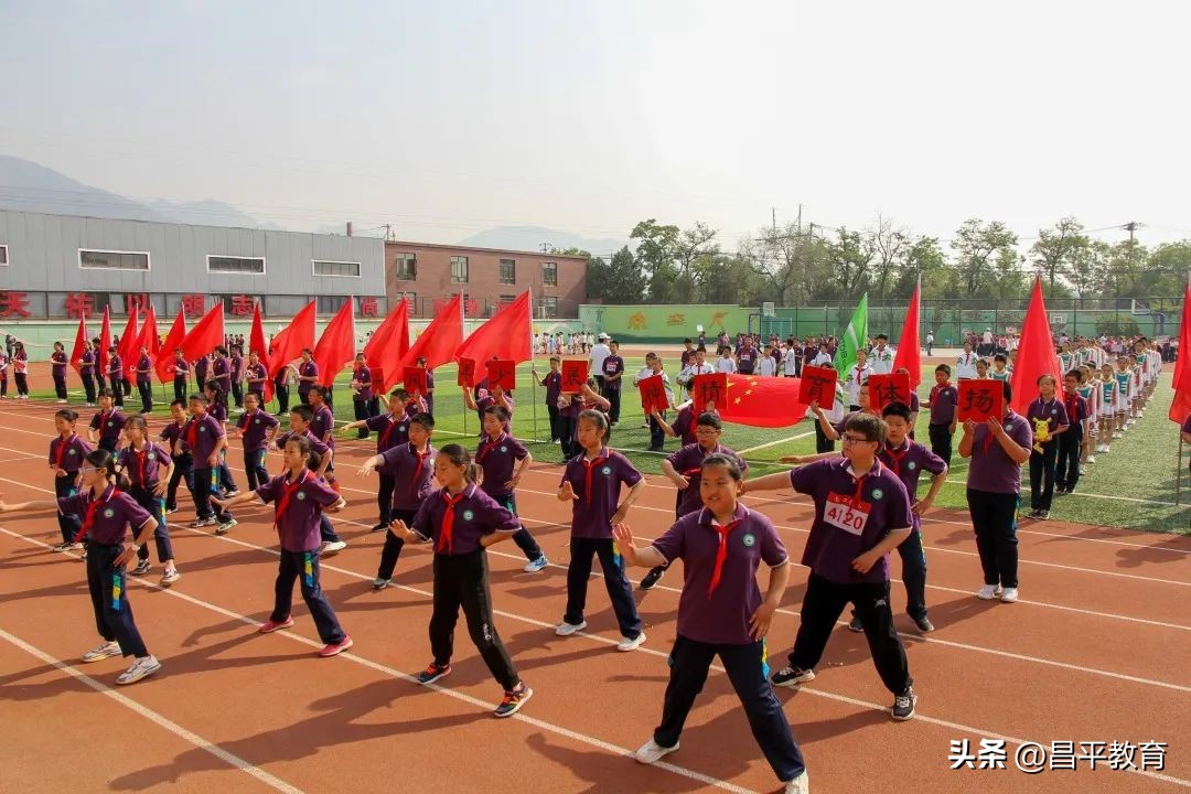 校园竞技体育的魅力,校园青春比赛