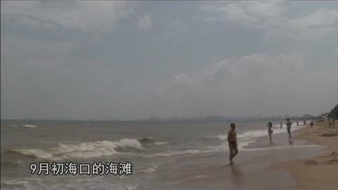 海南海上失踪女老板,海南女老总失踪事件