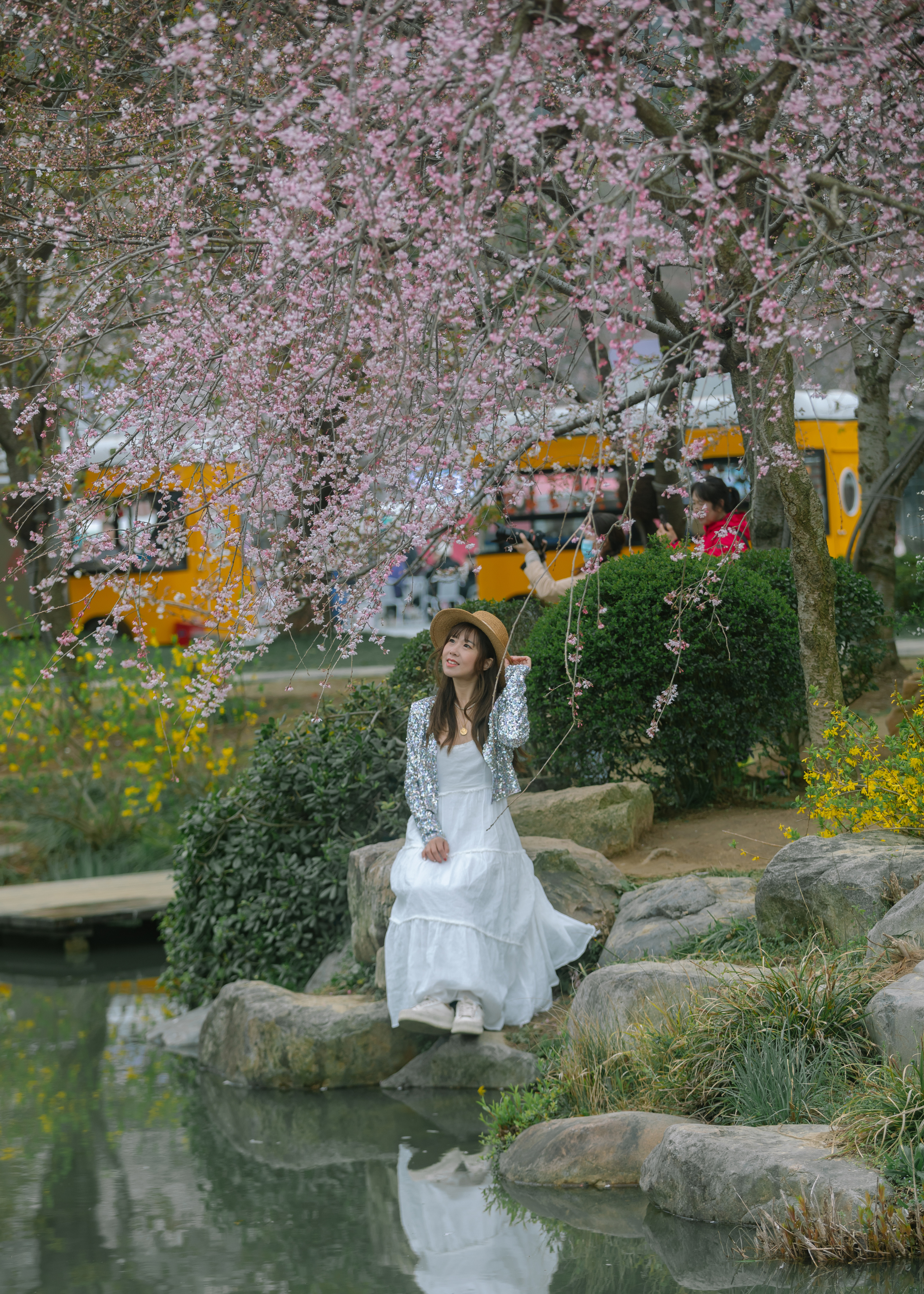 鼋头渚樱花盛宴比日本更令人沉醉,太湖鼋头渚樱花美如画