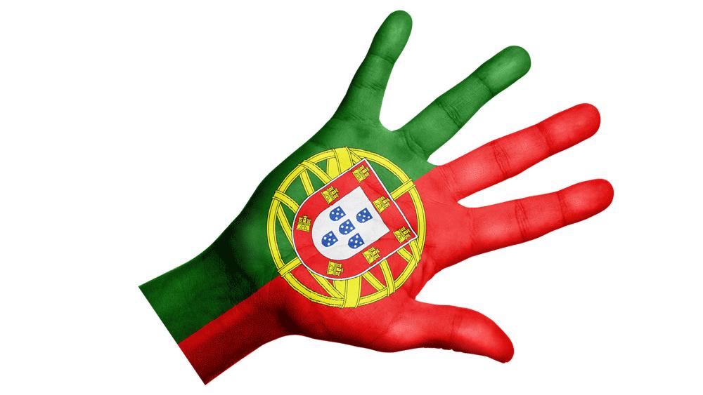 葡萄牙语怎么翻译成中文免费,葡萄牙语翻译在哪学