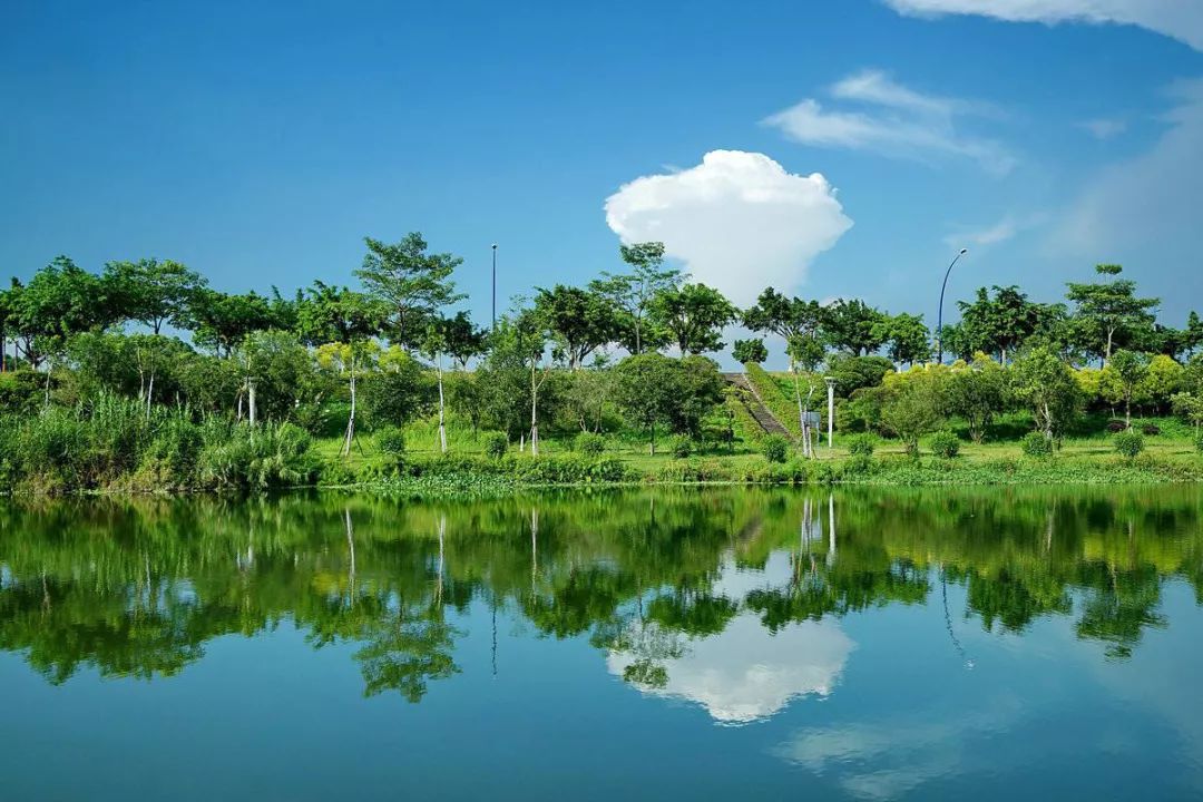 广州鹤之洲湿地公园游玩攻略简介,增城凤凰古城一日游最佳去处