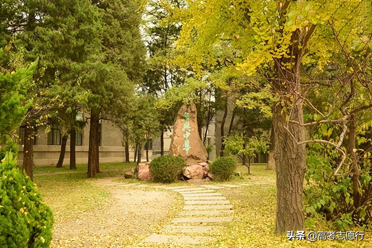 统计学是热门专业,统计学就业大热