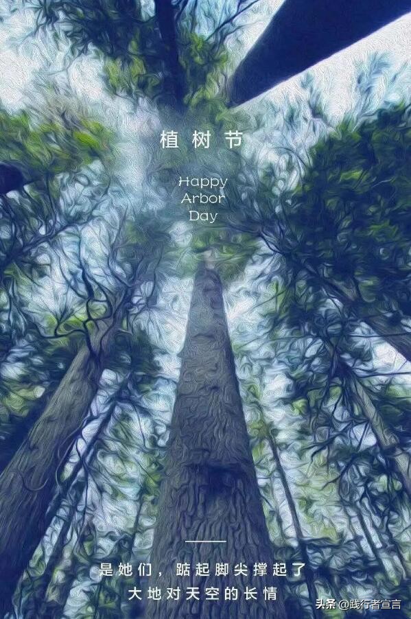 植树节活动策划销售,植树节如何与品牌结合