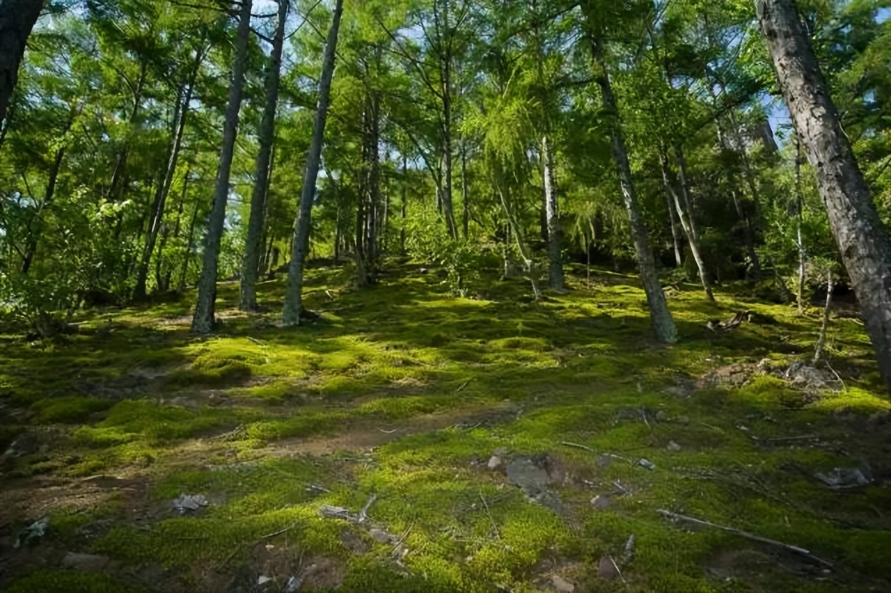 黑龙江省内自驾旅游线路推荐,黑龙江附近沿海城市开车自驾