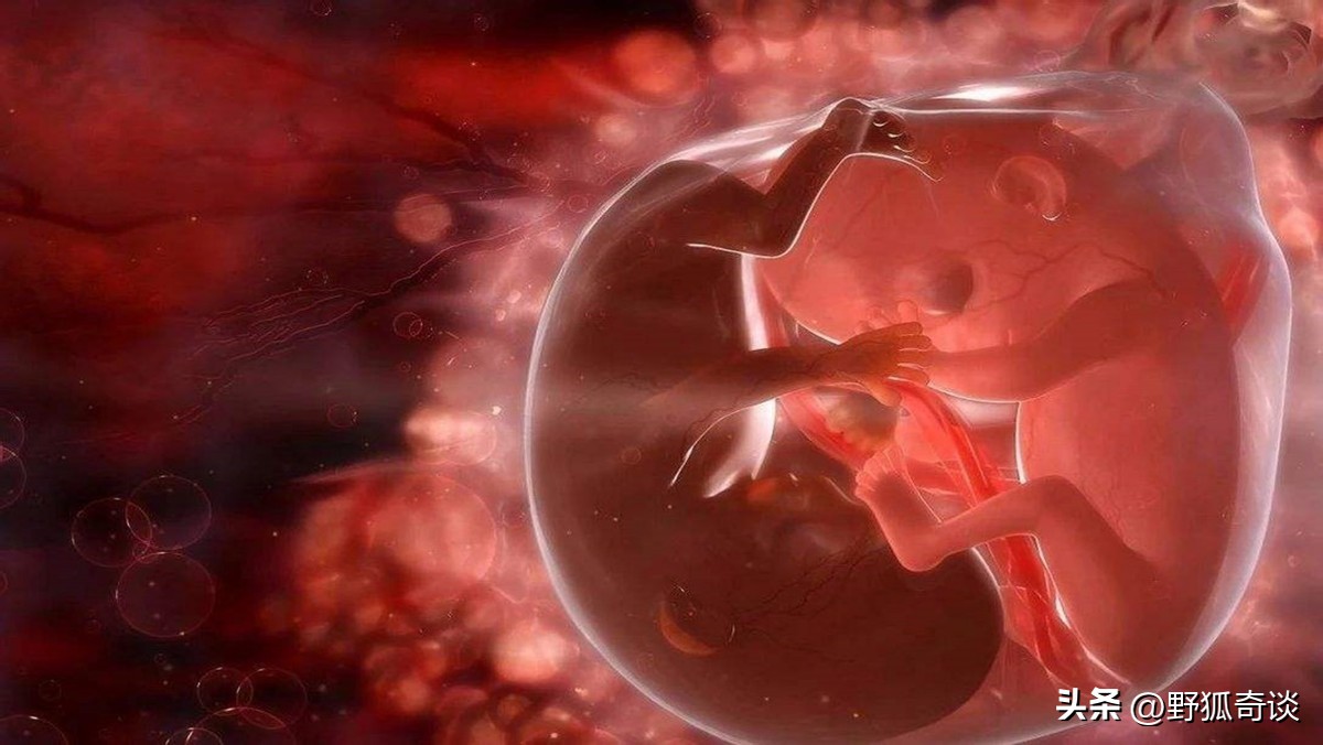 清末扬州妖僧煮食男胎，只为修炼金刚禅