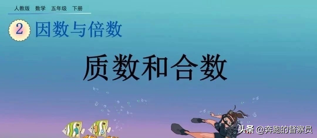 五年级下册数学质数和合数题讲解,五年级下册数学什么是质数和合数