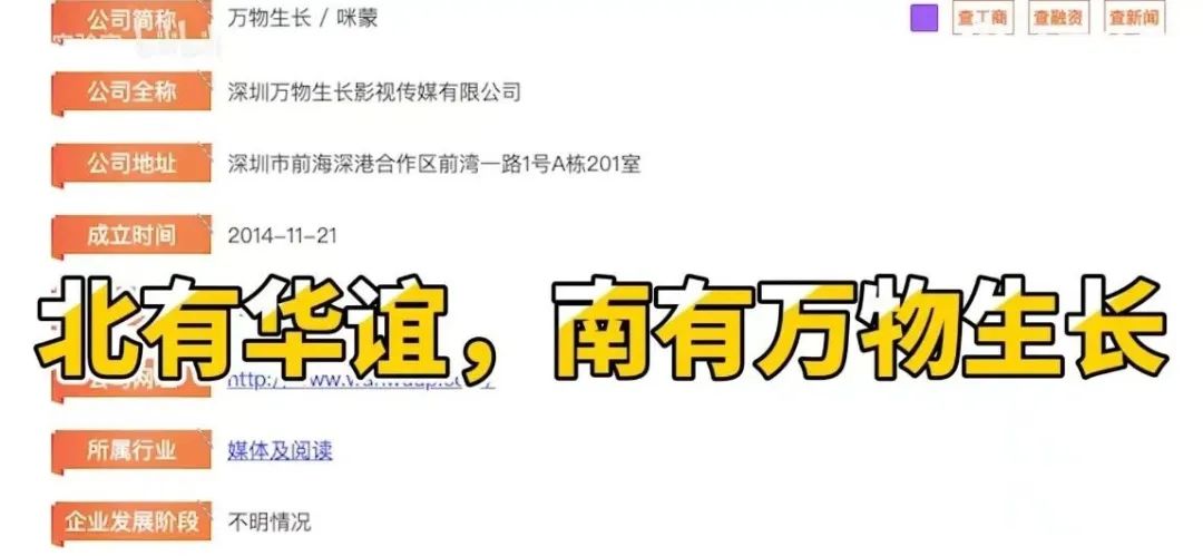 咪蒙爆文解析,咪蒙被举报怎么回事