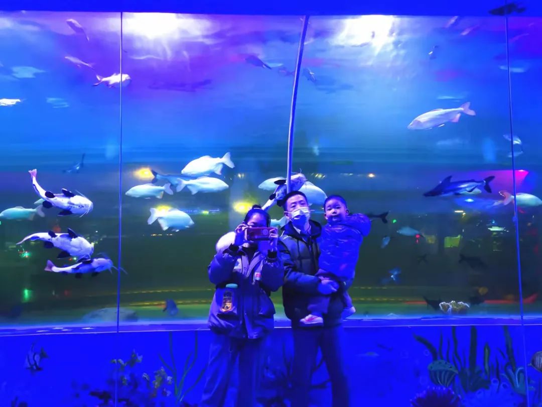 在你眼中母亲是什么样的,在你眼中妈妈是什么样的人