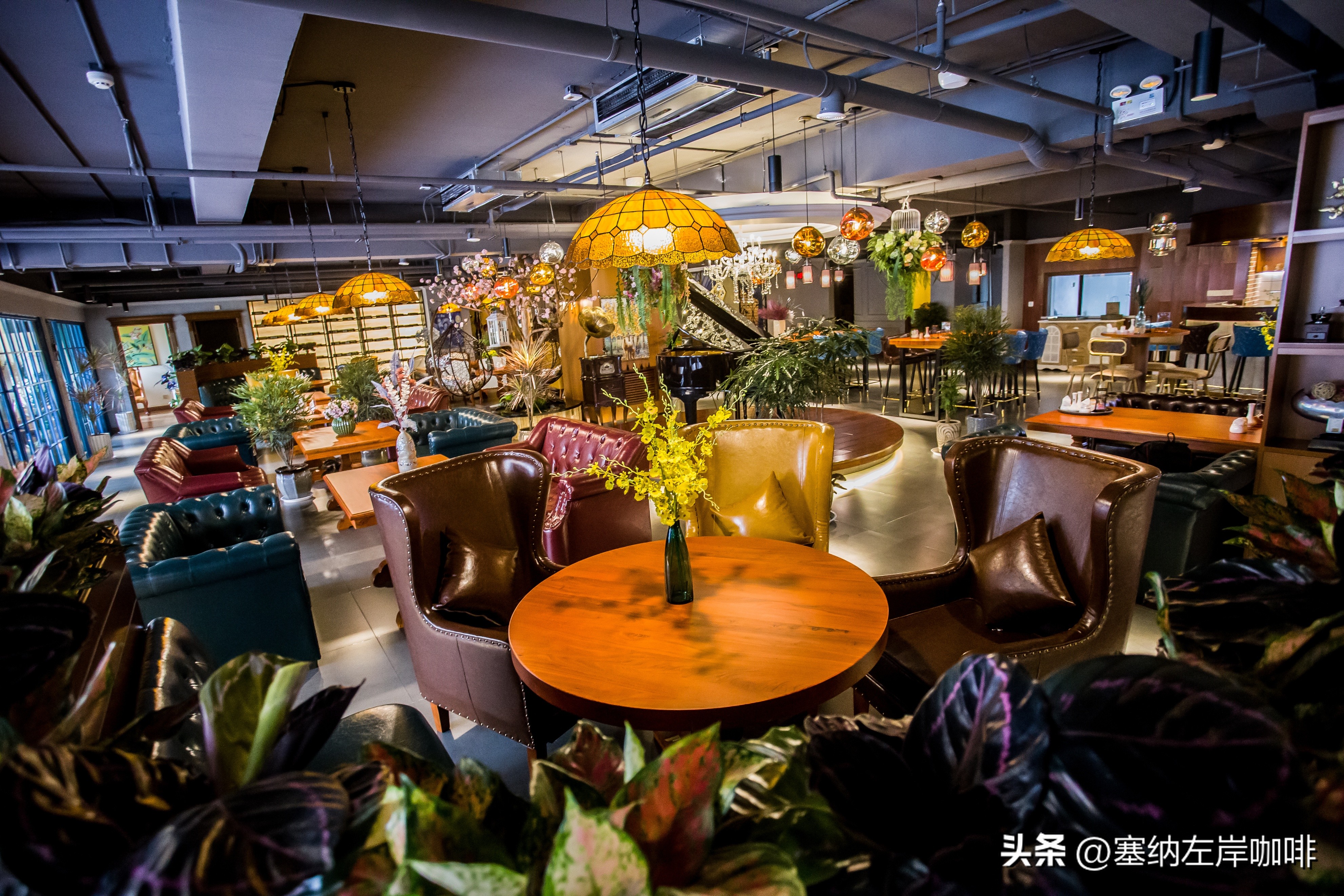 在县城开个咖啡店前景怎么样,县城开咖啡店赚钱吗