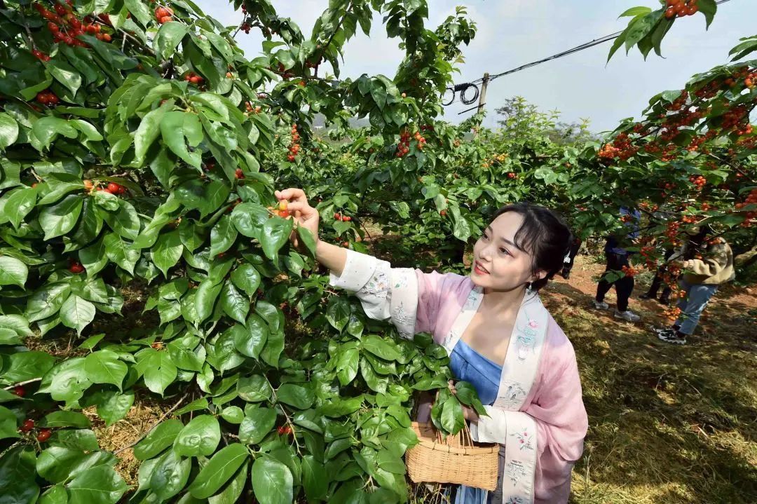 进入夏航季，即将迎来出境游高峰期！境内游昆明的行程已经开始给你安排了
