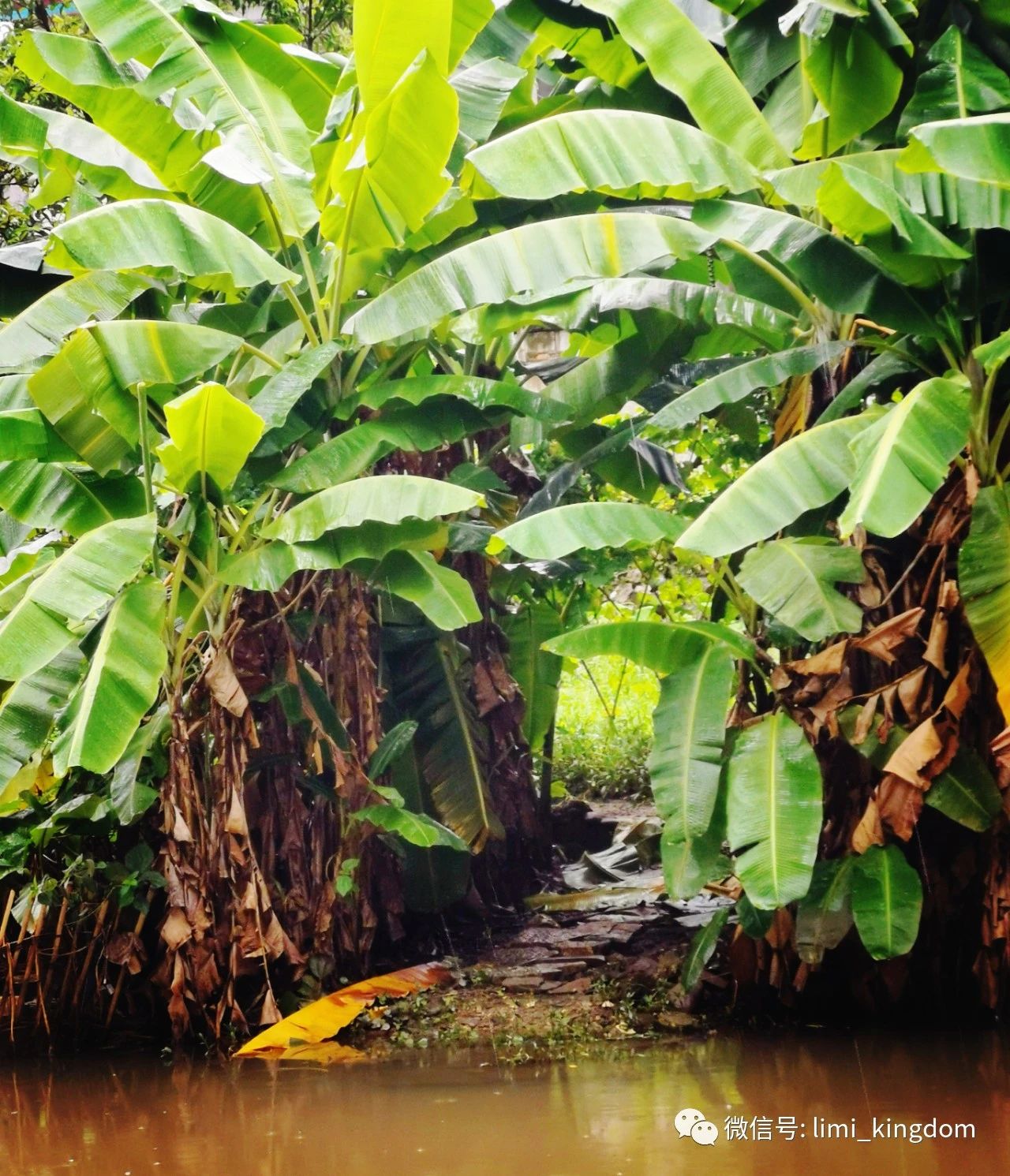 20厘米随笔,游阳朔随笔