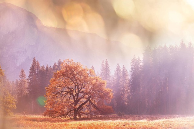 七律初夏七绝,七律秋日晨雨