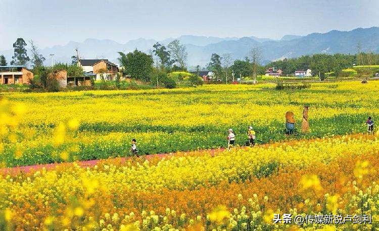 乡村旅游怎么找市场营销,乡村旅游市场营销策略论文