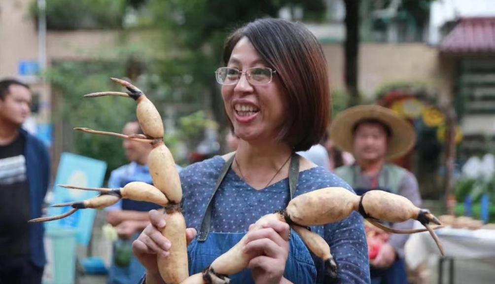 绀惧尯鐢熸椿鏈嶅姟闆嗗競,绀惧尯鐢熸椿甯傞泦