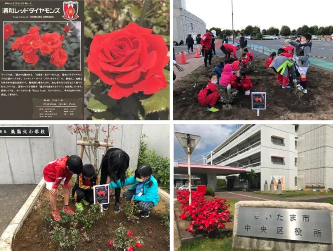 日本足球为什么越踢越好？他们正走在正确的路上