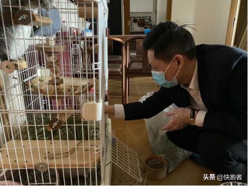 茅台冰淇淋代购十几天赚10万！网友：是我格局小了