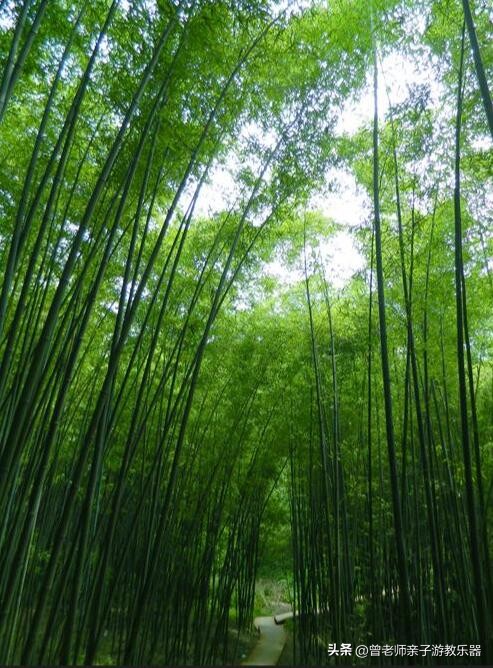 西安2023旅游攻略,2023年西安必去景点