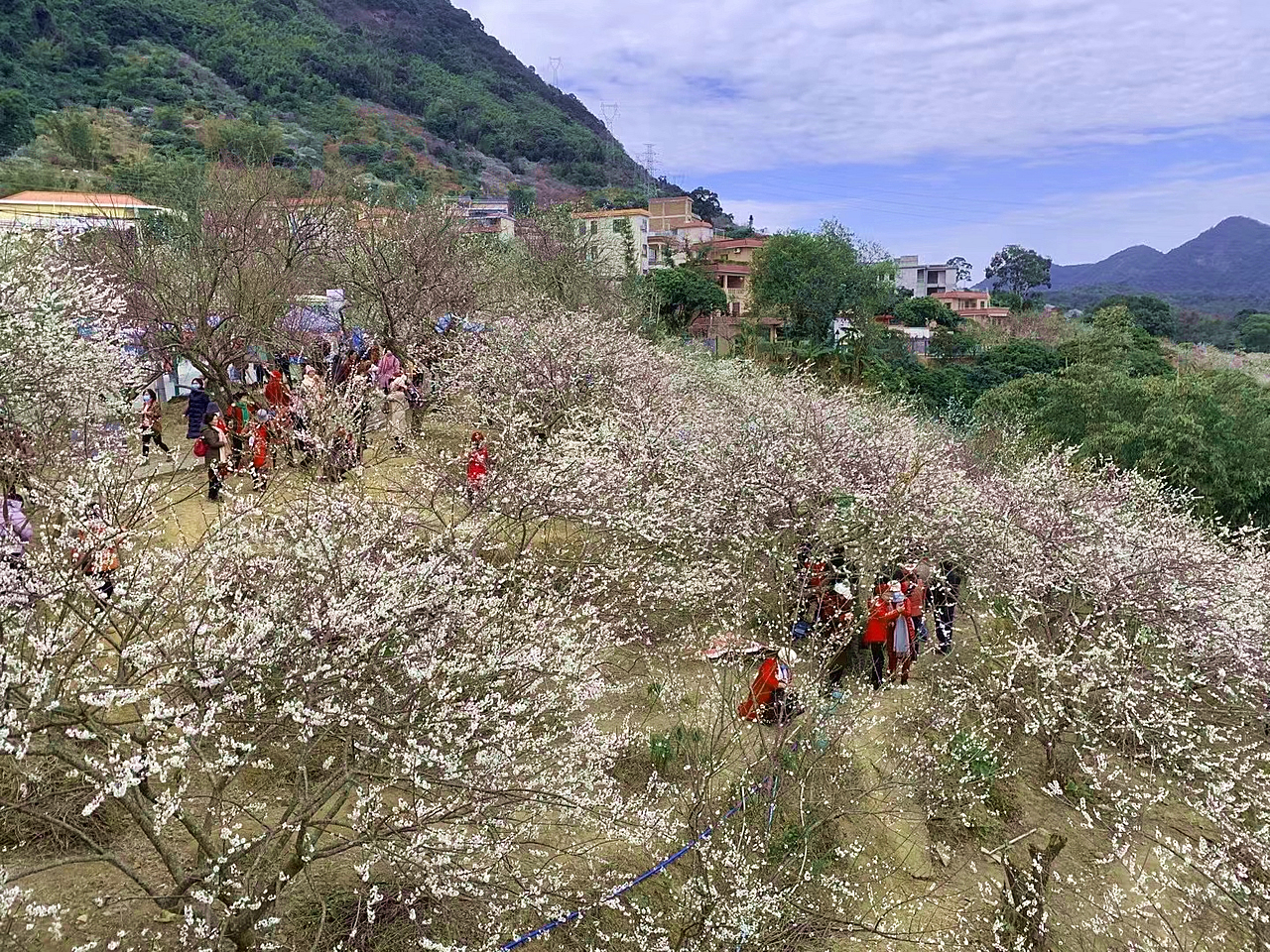 从化赏花旅游攻略景点必去,从化梅花节自驾游路线图最新