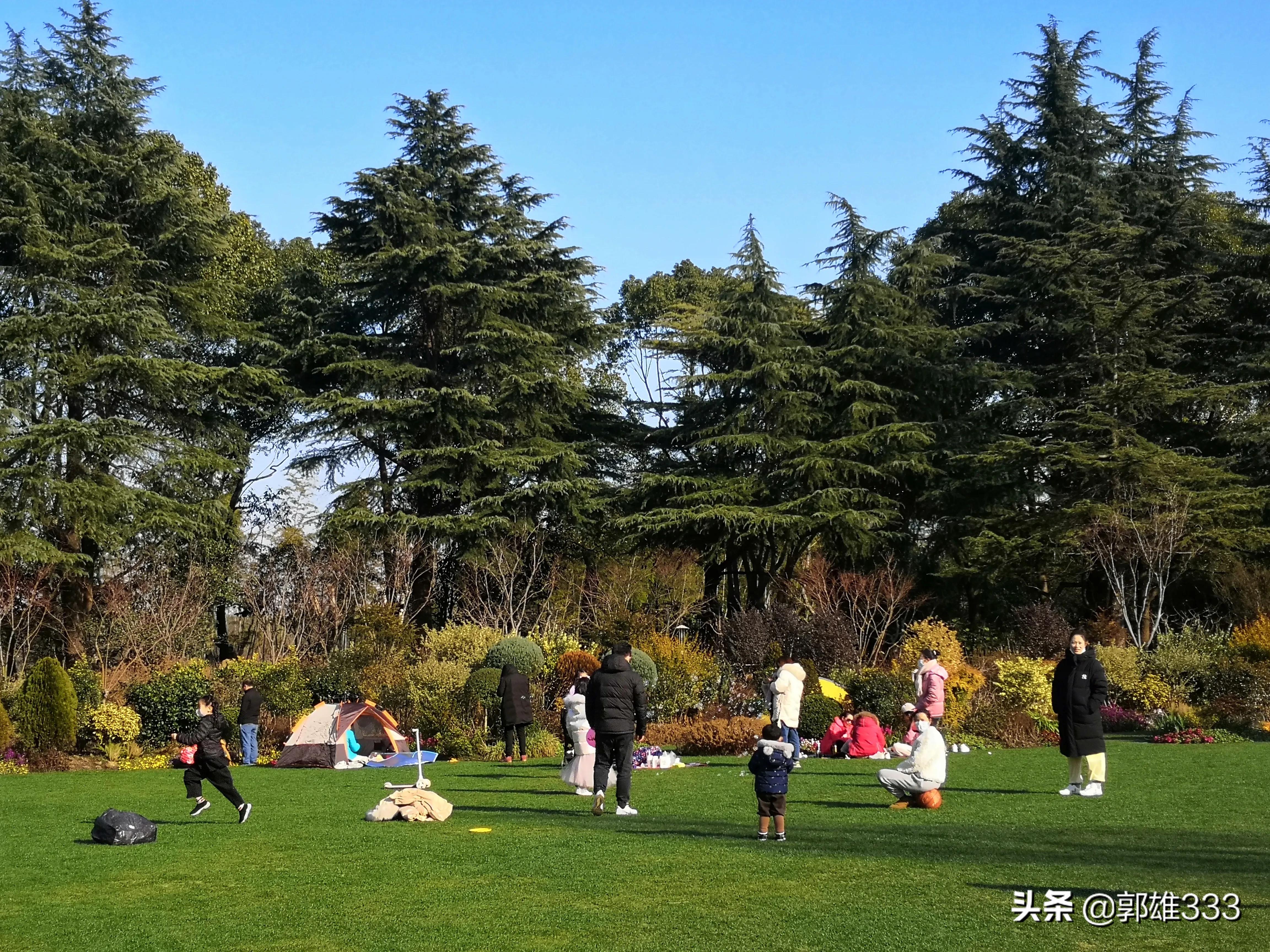 能否让行道树与路名相匹配？