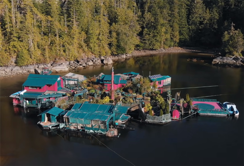 夫妻二人买下海岛过起隐居的生活,夫妻隐居小岛与世隔绝