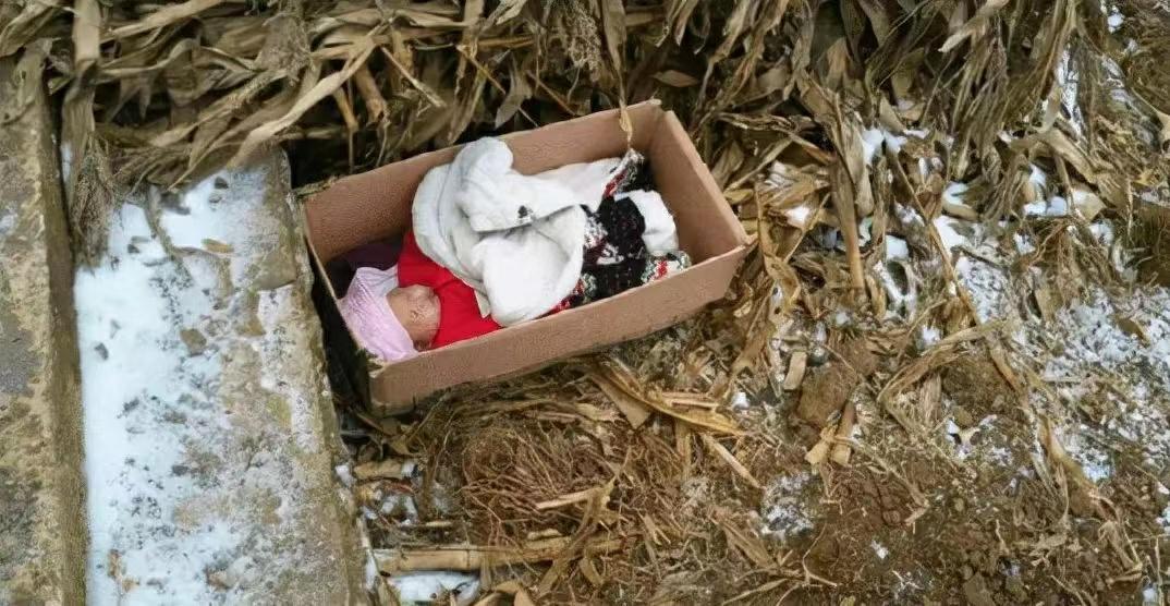 养父靠扛煤气罐把她培养成博士,养父扛煤气罐培养女博士全集