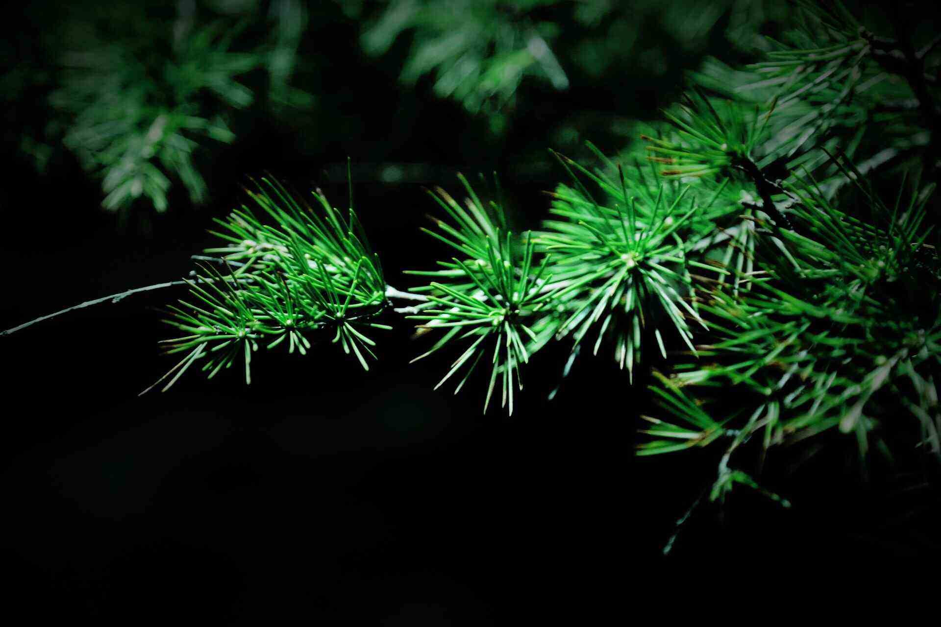 相遇不如不遇的诗句,关于难得的人生际遇的古诗词