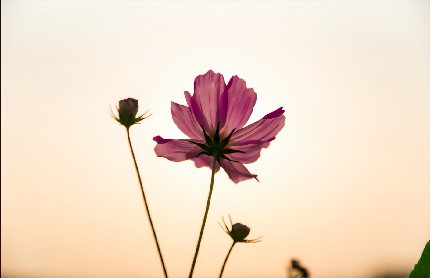 和老公过不下去应该和父母说吗,跟老公过不下去了还要孩子吗