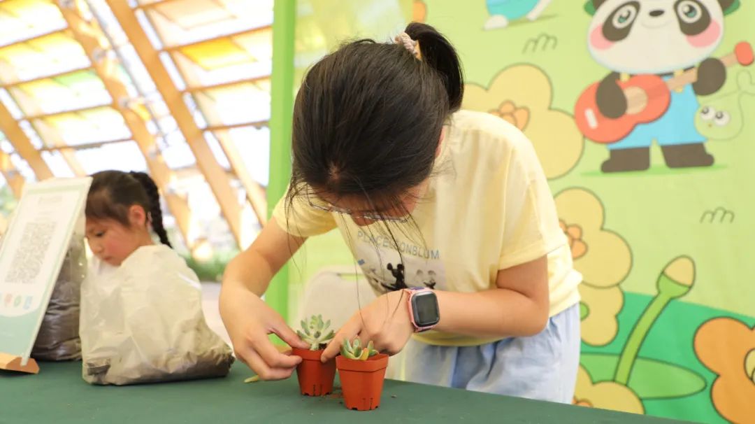 家校共育携手向前,家校社会共育共促成长