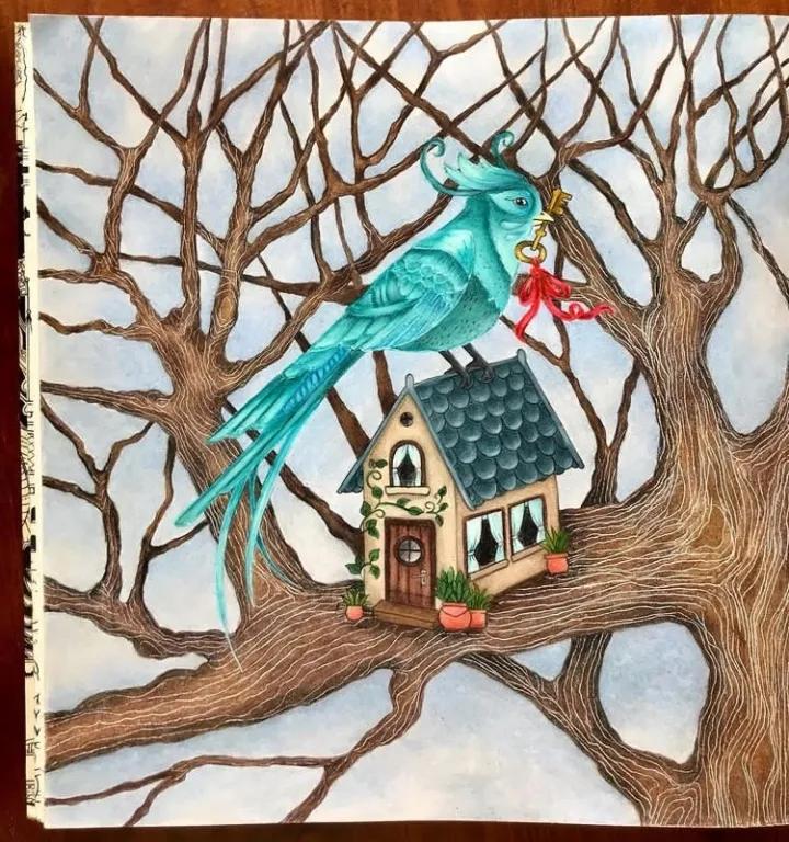 100幅初学者彩铅画花卉,100张新手彩铅临摹图片