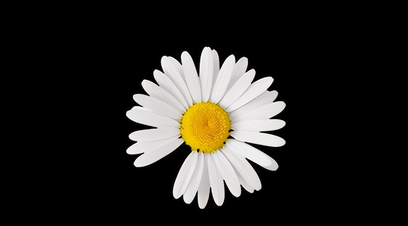 宝宝排便困难大哭大便成形,宝宝排便困难很用力也排不出