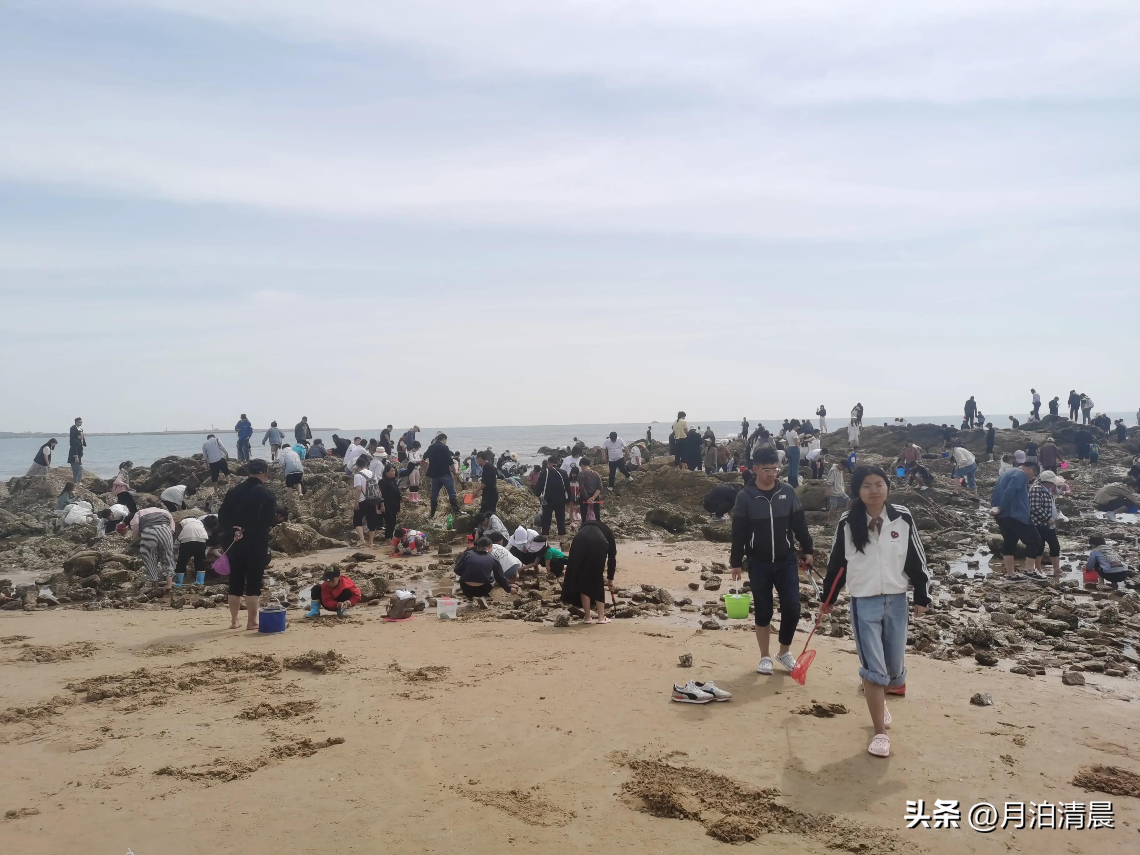 五一去日照不去这些景点等于白去,五一假期日照有哪些好玩的地方