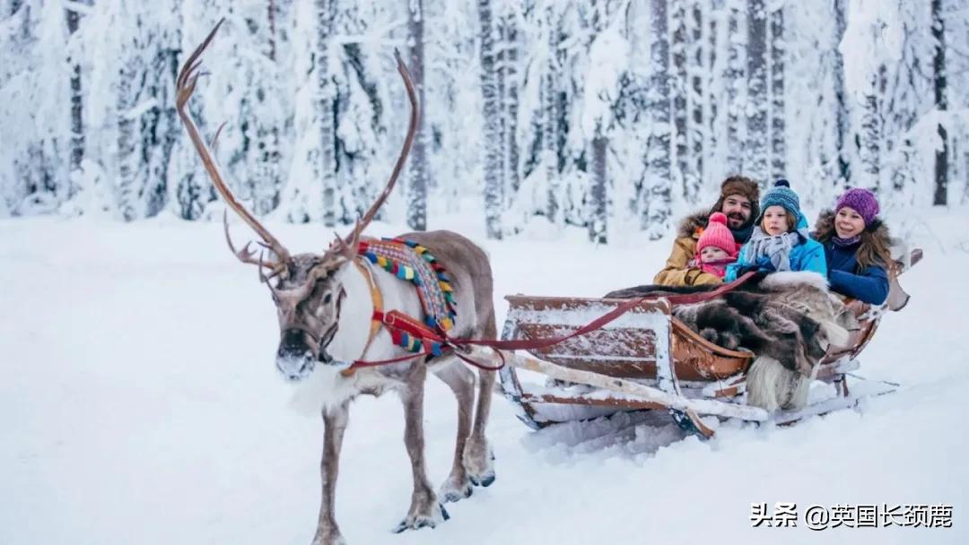 圣诞节搞笑冷知识,圣诞节冷知识小视频