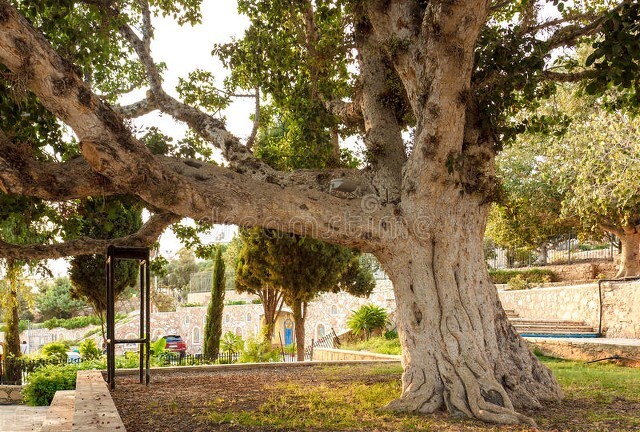 棋如人生——讲自己的象棋故事第一章那年夏天初见象棋